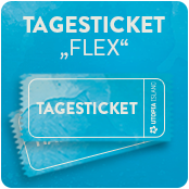 Tagesticket (Flex)